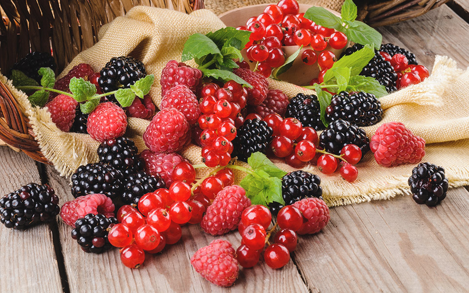 Obst und Speisebeeren Produkte